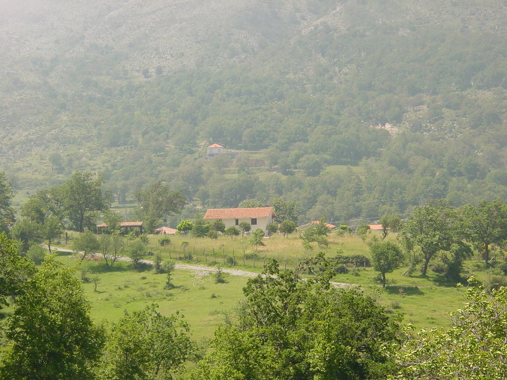 Agriturismo Collevento Trecchina Exterior foto
